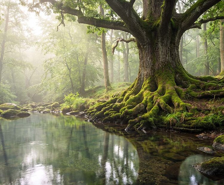 hemorragia-bioelectrica